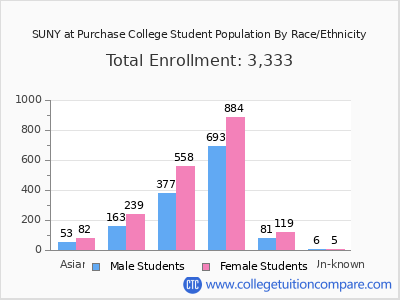 SUNY at Purchase College 2025 Student Population by Gender and Race chart
