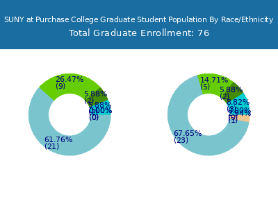 SUNY at Purchase College 2025 Graduate Enrollment by Gender and Race chart