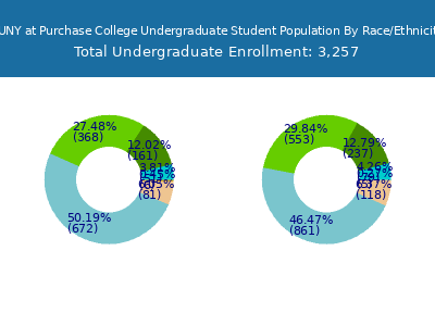 SUNY at Purchase College 2025 Undergraduate Enrollment by Gender and Race chart