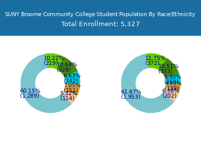 SUNY Broome Community College 2025 Student Population by Gender and Race chart