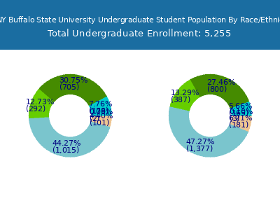 SUNY Buffalo State University 2025 Undergraduate Enrollment by Gender and Race chart