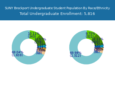 SUNY Brockport 2025 Undergraduate Enrollment by Gender and Race chart