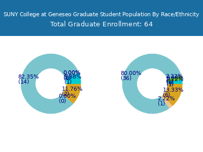 SUNY College at Geneseo 2025 Graduate Enrollment by Gender and Race chart