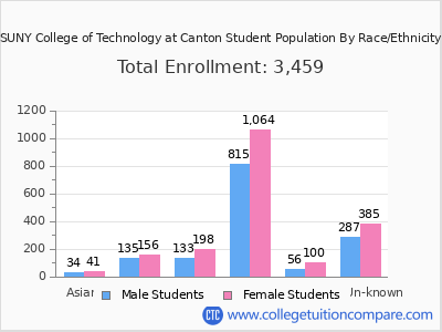 SUNY College of Technology at Canton 2025 Student Population by Gender and Race chart