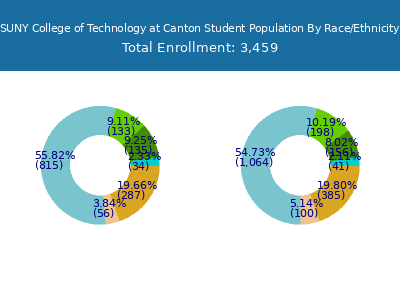 SUNY College of Technology at Canton 2025 Student Population by Gender and Race chart