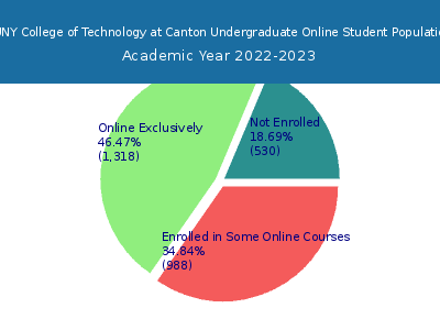 SUNY College of Technology at Canton 2023 Online Student Population chart