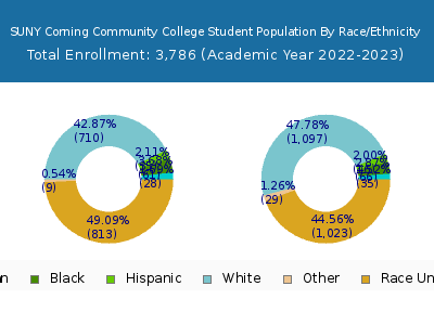 SUNY Corning Community College 2023 Student Population by Gender and Race chart
