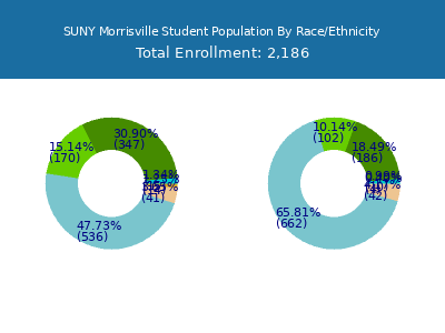 SUNY Morrisville 2025 Student Population by Gender and Race chart