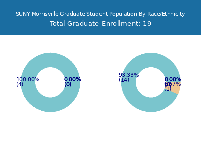 SUNY Morrisville 2025 Graduate Enrollment by Gender and Race chart