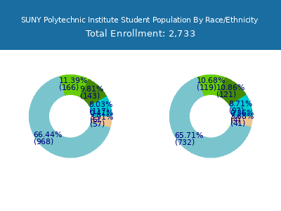 SUNY Polytechnic Institute 2025 Student Population by Gender and Race chart