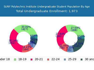 SUNY Polytechnic Institute 2025 Undergraduate Enrollment Age Diversity Pie chart