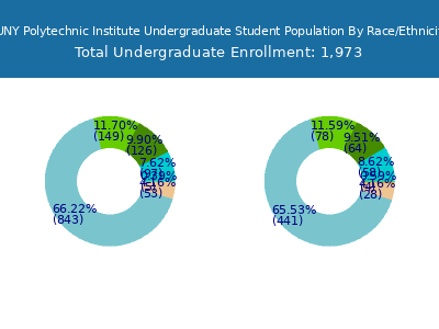 SUNY Polytechnic Institute 2025 Undergraduate Enrollment by Gender and Race chart