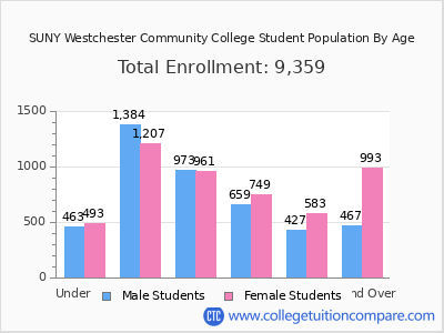 SUNY Westchester Community College 2025 Student Population by Age chart