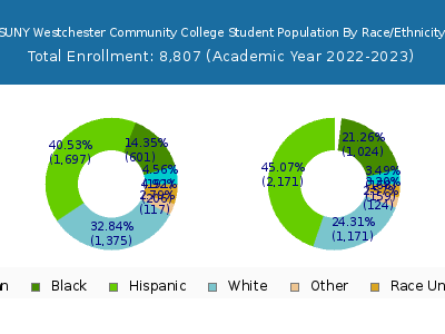 SUNY Westchester Community College 2023 Student Population by Gender and Race chart