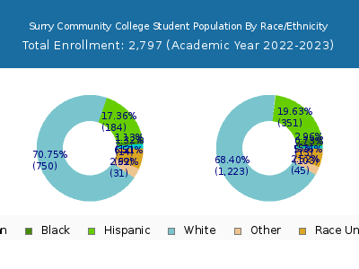 Surry Community College 2023 Student Population by Gender and Race chart