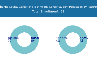 Susquehanna County Career and Technology Center 2025 Student Population by Gender and Race chart