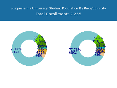 Susquehanna University 2025 Student Population by Gender and Race chart