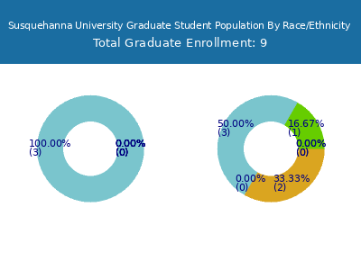 Susquehanna University 2025 Graduate Enrollment by Gender and Race chart