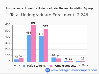 Susquehanna University 2024 Undergraduate Enrollment by Age chart