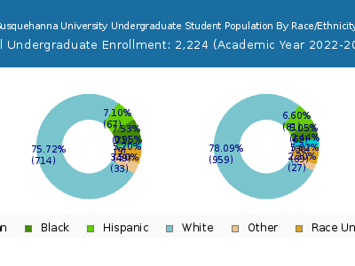Susquehanna University 2023 Undergraduate Enrollment by Gender and Race chart