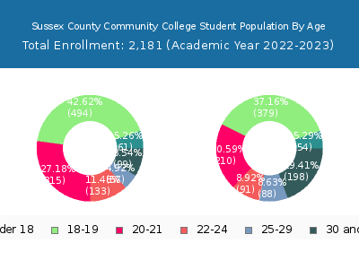 Sussex County Community College 2023 Student Population Age Diversity Pie chart