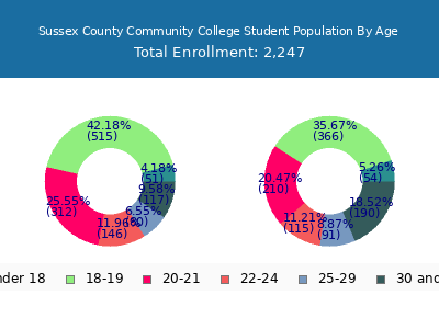 Sussex County Community College 2025 Student Population Age Diversity Pie chart