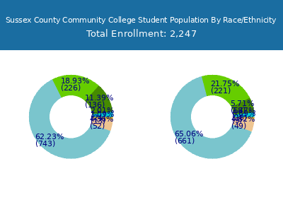 Sussex County Community College 2025 Student Population by Gender and Race chart