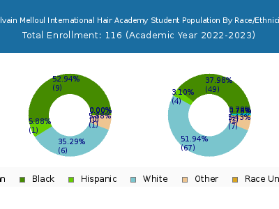 Sylvain Melloul International Hair Academy 2023 Student Population by Gender and Race chart