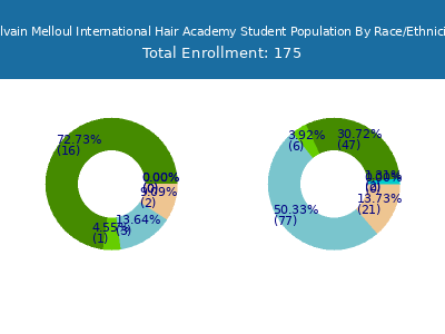 Sylvain Melloul International Hair Academy 2025 Student Population by Gender and Race chart