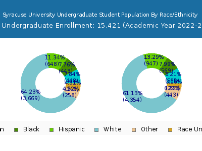 Syracuse University 2023 Undergraduate Enrollment by Gender and Race chart