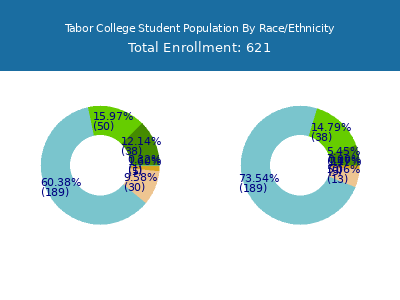 Tabor College 2025 Student Population by Gender and Race chart
