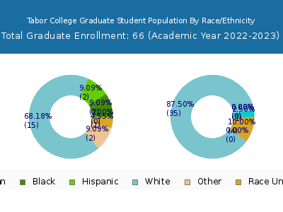 Tabor College 2023 Graduate Enrollment by Gender and Race chart