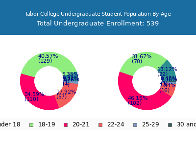 Tabor College 2025 Undergraduate Enrollment Age Diversity Pie chart