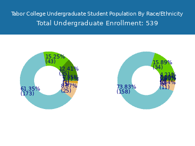 Tabor College 2025 Undergraduate Enrollment by Gender and Race chart