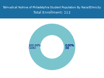 Talmudical Yeshiva of Philadelphia 2025 Student Population by Gender and Race chart