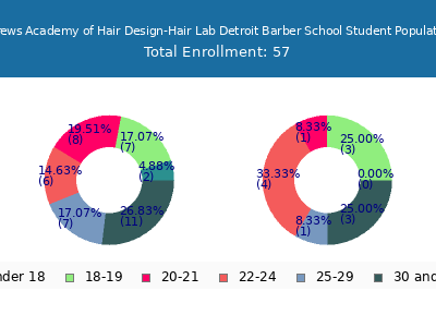 Taylor Andrews Academy of Hair Design-Hair Lab Detroit Barber School 2024 Student Population Age Diversity Pie chart