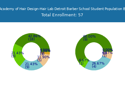 Taylor Andrews Academy of Hair Design-Hair Lab Detroit Barber School 2025 Student Population by Gender and Race chart