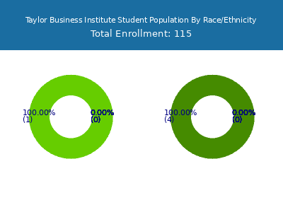 Taylor Business Institute 2025 Student Population by Gender and Race chart