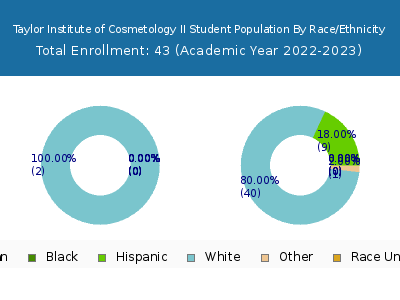 Taylor Institute of Cosmetology II 2023 Student Population by Gender and Race chart