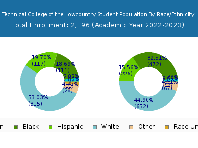 Technical College of the Lowcountry 2023 Student Population by Gender and Race chart