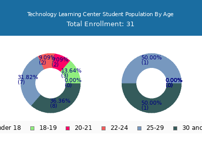 Technology Learning Center 2024 Student Population Age Diversity Pie chart