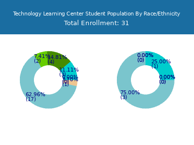 Technology Learning Center 2025 Student Population by Gender and Race chart