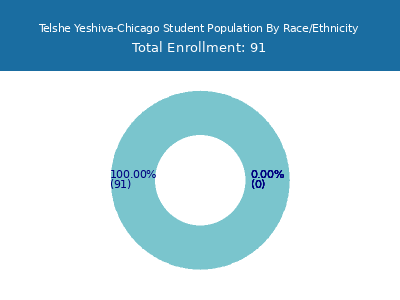 Telshe Yeshiva-Chicago 2025 Student Population by Gender and Race chart