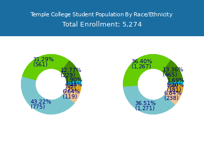 Temple College 2025 Student Population by Gender and Race chart