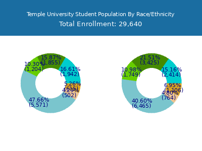 Temple University 2025 Student Population by Gender and Race chart