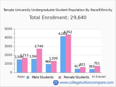 Temple University 2025 Undergraduate Enrollment by Gender and Race chart