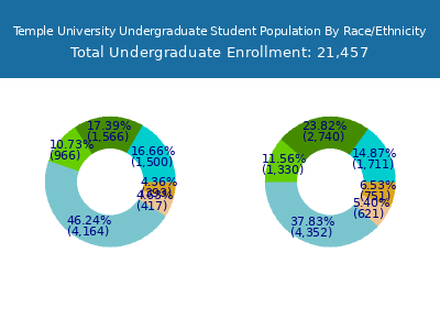Temple University 2025 Undergraduate Enrollment by Gender and Race chart