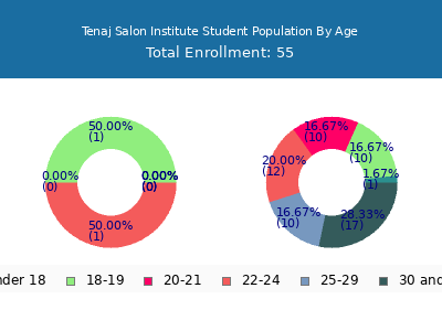 Tenaj Salon Institute 2024 Student Population Age Diversity Pie chart