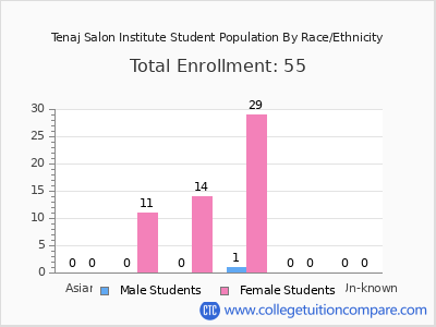 Tenaj Salon Institute 2025 Student Population by Gender and Race chart