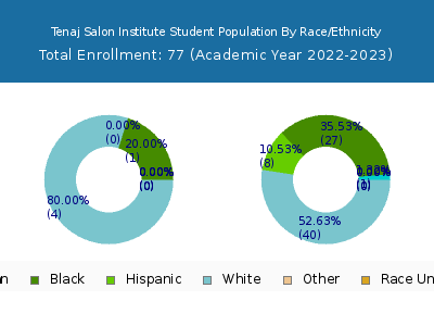 Tenaj Salon Institute 2023 Student Population by Gender and Race chart